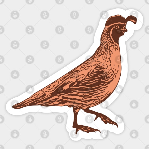 Gambel's Quail Linocute Style Sticker by Spatium Natura